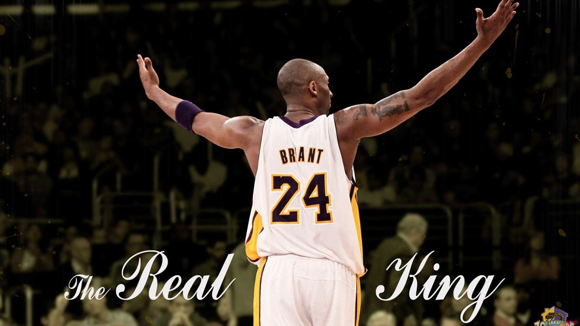 _快船团队协作，战胜劲敌_，快船队全称