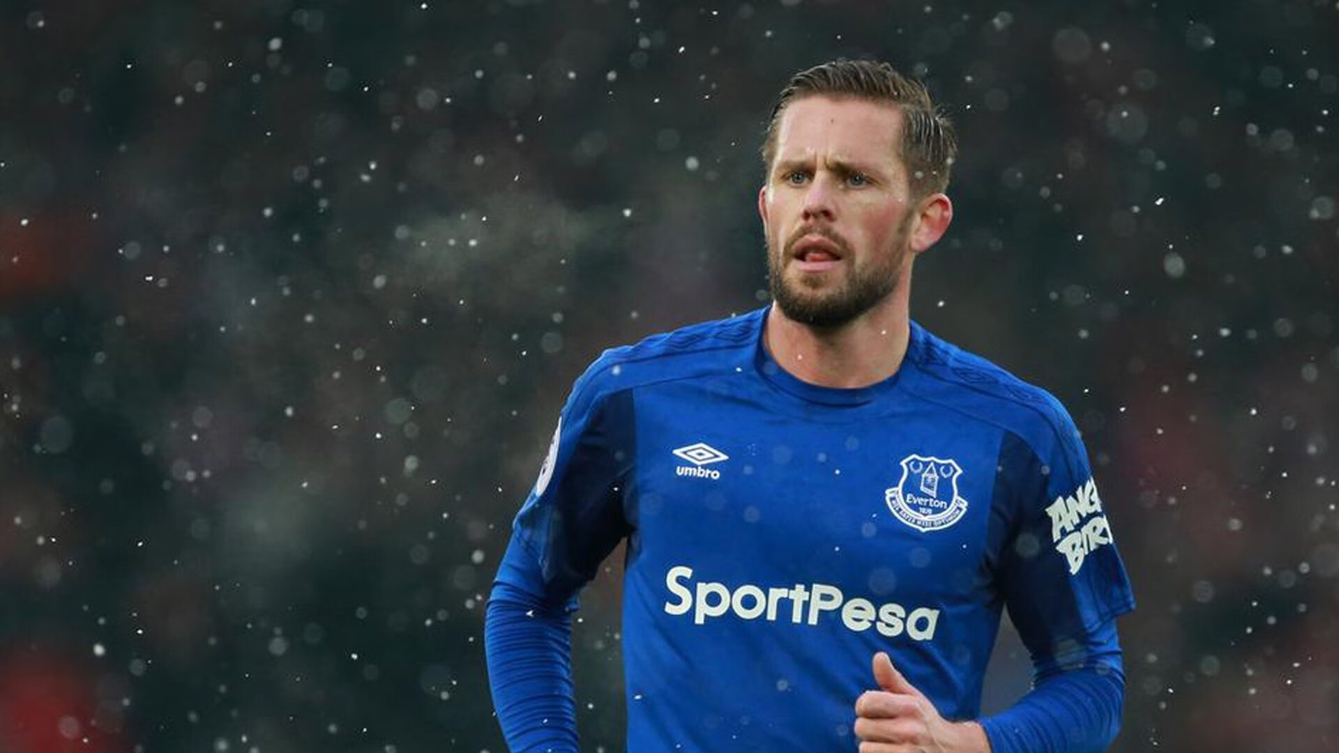 赛车精神：F1运动中的激励故事，f1赛车的魅力